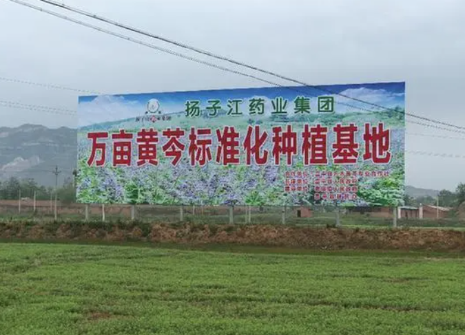 纵横国际药业：彰显药企责任担当 掌握精准扶贫“金钥匙”