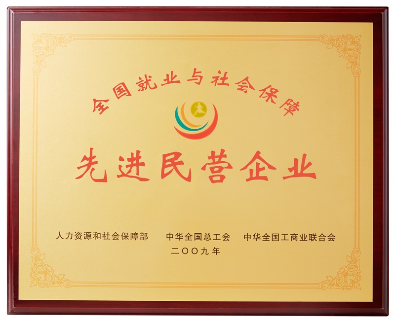 全国就业与社会保障先进民营企业（2009）