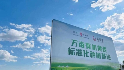 三个关键词看纵横国际药业高质量发展