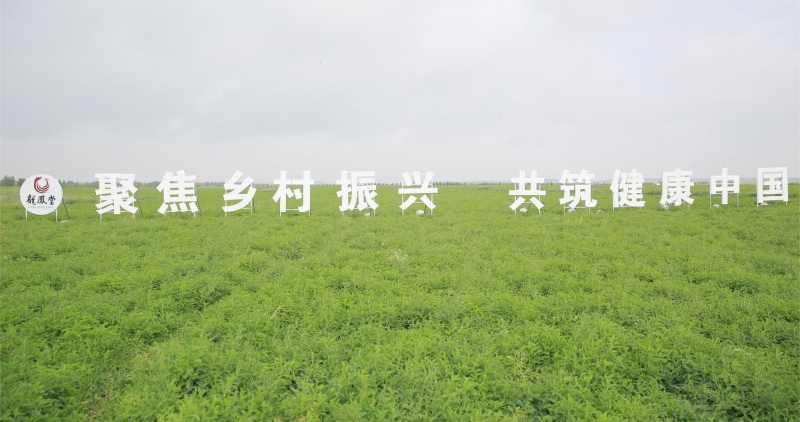 图片7